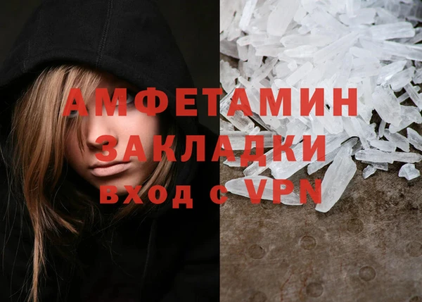 гидра Кодинск