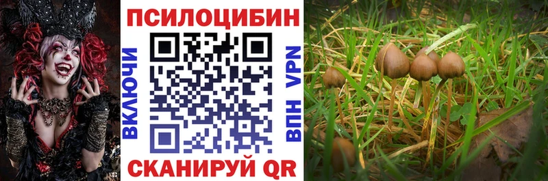 ссылка на мегу маркетплейс  Нерчинск  Галлюциногенные грибы Magic Shrooms  купить наркотики цена 